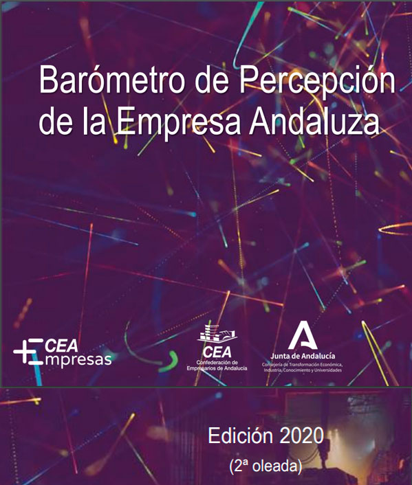 Barómetro de Percepción de la Empresa Andaluza (2ª oleada) - Estudios