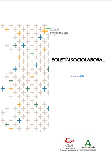 Boletín Sociolaboral - Enero 2021 - Estudios